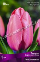 Тюльпан Дарвинов гибрид Пинк Импрешн (11/12) 10 шт Тюльпан Дарвинов гибрид Пинк Импрешн (11/12) 10 шт