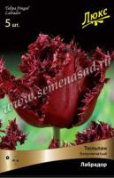 Тюльпан Бахромчатый Лабрадор (11/12) 10 шт Тюльпан Бахромчатый Лабрадор (11/12) 10 шт