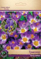 Крокус Зибера Триколор (5/+) 10шт Крокус Зибера Триколор (5/+) 10шт
