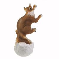 Белочка навесная кормушка L35W23H16см 713013/F653 Белочка навесная кормушка L35W23H16см 713013/F653