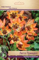 Тюльпан Ботанический Литтл Принцесс (6/8) 10 шт Тюльпан Ботанический Литтл Принцесс (6/8) 10 шт