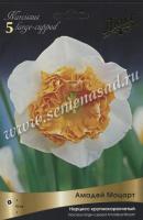 Нарцисс Крупнокорончатый Амадей Моцарт (3шт, 12/14) 845280 Нарцисс Крупнокорончатый Амадей Моцарт (3шт, 12/14) 845280