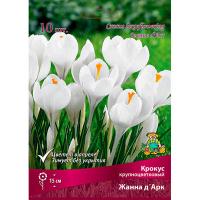 Крокус Крупноцветковый Жанна д'Арк (белый, 10шт, 7/8) 756084
