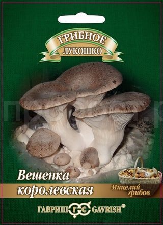 Мицелий гриба Вешенка Королевская на древесной палочке 12шт Мицелий гриба Вешенка Королевская на древесной палочке 12шт