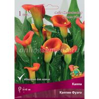 Калла Кэптин Фуэго 14/16