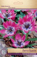 Тюльпан Ботанический Литтл Бьюти (6/8) 10 шт Тюльпан Ботанический Литтл Бьюти (6/8) 10 шт