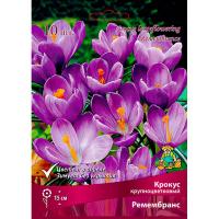 Крокус Крупноцветковый Ремембранс (фиолетовый, 10шт, 7/8) 756089