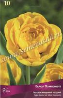 Тюльпан Махровый поздний Йеллоу Помпонетт (11/12) 10 шт Тюльпан Махровый поздний Йеллоу Помпонетт (11/12) 10 шт