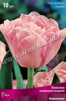 Тюльпан Махровый поздний Анжелика (розовый с белой каймой, 10шт, 11/12) 766399