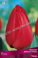 Тюльпан Дарвинов гибрид Парад  (11/12) 10 шт Тюльпан Дарвинов гибрид Парад  (11/12) 10 шт