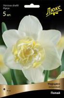 Нарцисс Махровый Попайс