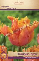 Тюльпан Попугайный Амейзинг Пэррот (11/12) 10 шт Тюльпан Попугайный Амейзинг Пэррот (11/12) 10 шт