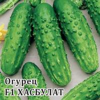 Гавриш Фермерская Огурец Хасбулат F1 100 шт