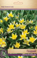 Тюльпан Ботанический поздний  (6/7) 10 шт Тюльпан Ботанический поздний  (6/7) 10 шт