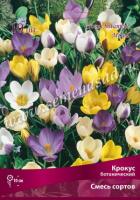 Крокус Ботанический смесь (белый, жёлтый, сиреневый, 10шт, 5/+) 756078