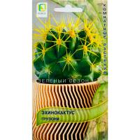 Поиск Эхинокактус Грузони 10шт 