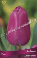 Тюльпан Триумф Блу Бьюти (11/12) 10 шт Тюльпан Триумф Блу Бьюти (11/12) 10 шт