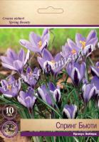 Крокус Зибера Спринг Бьюти (5/+) 10шт. Крокус Зибера Спринг Бьюти (5/+) 10шт.