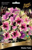 Флокс метельчатый Майкс Чойс (I) 1 шт