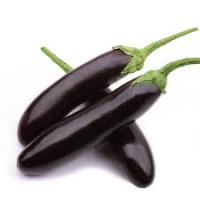 Баклажан Индиго F1 5 шт. 