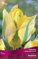 Тюльпан Зеленоцветный Формоза (11/12) 10 шт Тюльпан Зеленоцветный Формоза (11/12) 10 шт