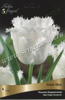 Тюльпан Бахромчатый Ханимун (11/12) 10 шт Тюльпан Бахромчатый Ханимун (11/12) 10 шт