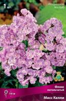 Флокс метельчатый Мисс Келли (I) 1 шт