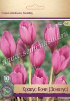 Крокус  Кочи (7/8) 10шт Крокус  Кочи (7/8) 10шт