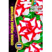 Адениум Феррари 3шт