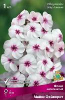 Флокс метельчатый Майкс Фейворит (I) 1 шт