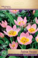 Тюльпан Ботанический Лайлак Уандер (6/8) 10 шт Тюльпан Ботанический Лайлак Уандер (6/8) 10 шт