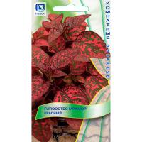 Поиск Гипоэстес Мрамор красный 7шт  Поиск Гипоэстес Мрамор красный 7шт