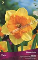 Нарцисс с Расщеплённой коронкой Мондрагон (12/14) 5шт. Нарцисс с Расщеплённой коронкой Мондрагон (12/14) 5шт.