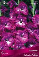 Гладиолус Гофрированные Наблус Раффл (10/12) 10 шт 821353