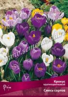 Крокус  смесь Сортов (7/8) 10шт Крокус  смесь Сортов (7/8) 10шт