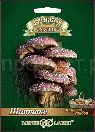 Мицелий гриба Шиитаке на древесной палочке 12шт  Мицелий гриба Шиитаке на древесной палочке 12шт