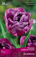 Тюльпан Махровый поздний Блу Даймонд (11/12) 10 шт Тюльпан Махровый поздний Блу Даймонд (11/12) 10 шт