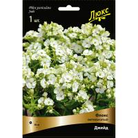Флокс метельчатый Джейд* (I) 1 шт