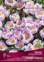 Крокус Крупноцветковый Страйпт Бьюти (10шт, 7/8) 839667