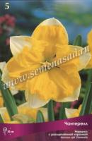Нарцисс с Расщеплённой коронкой Чантерелл (12/14) 5шт. Нарцисс с Расщеплённой коронкой Чантерелл (12/14) 5шт.