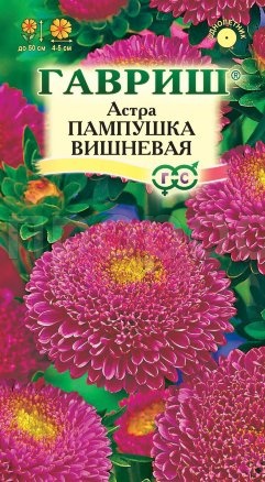 Астра Пампушка вишневая 0,3 г, помпонная Астра Пампушка вишневая 0,3 г, помпонная