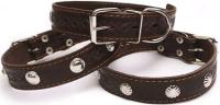 Ошейник кожа 35мм 1слойный с украшением 60-65см/41035/Бим