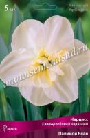 Нарцисс с Расщеплённой коронкой Папийон Блан (12/14) 5шт. Нарцисс с Расщеплённой коронкой Папийон Блан (12/14) 5шт.