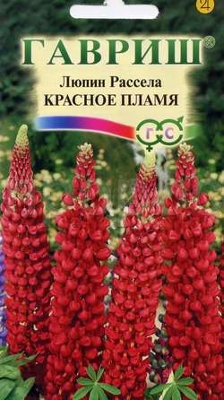 Люпин Рассела Красное пламя  0,5г 