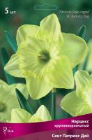 Нарцисс Крупнокорончатый Сент Патрикс Дей (12/14) 5шт. Нарцисс Крупнокорончатый Сент Патрикс Дей (12/14) 5шт.