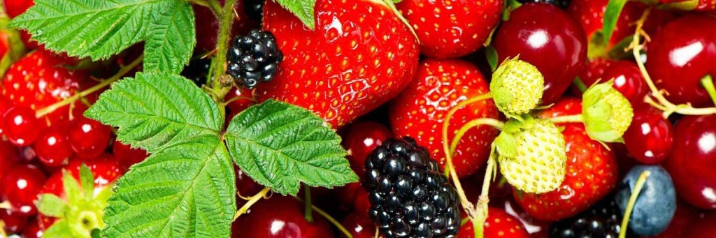 1500x5008.jpg 1500x5008.jpg