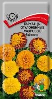 Бархатцы отклоненные махровые Бой смесь Бархатцы отклоненные махровые Бой смесь
