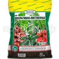 СО52441_0 СО52441_0