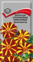 Бархатцы отклоненные немахровые Джолли Джестер Бархатцы отклоненные немахровые Джолли Джестер