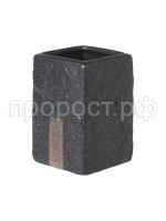 55876539-1 55876539-1